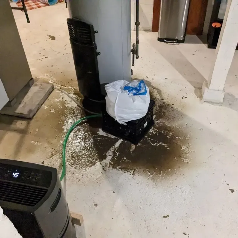 Sewage Backup Cleanup Service in Hartley, CA